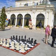 Foto: Bogdan Cioară (Arad)