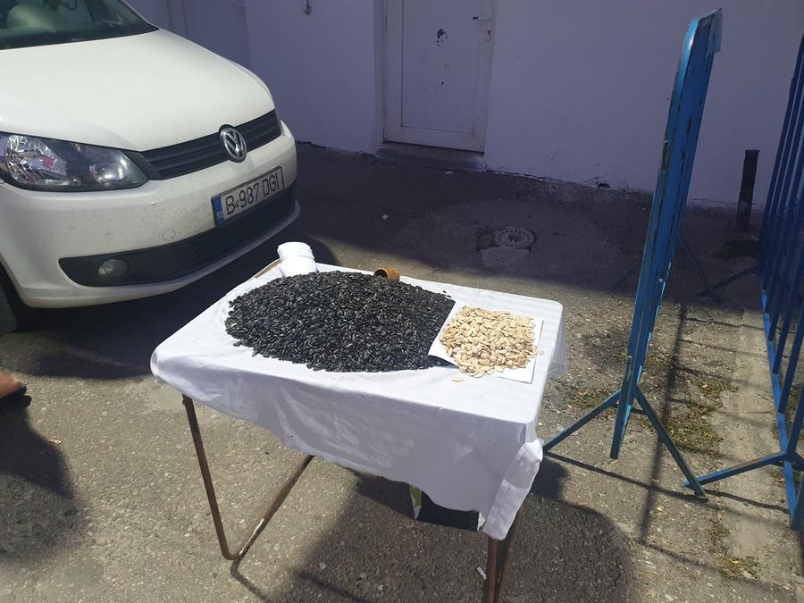 Semințe de bostan și de floarea soarelui pentru poporul din tribune / Foto: Justin Gafiuc 10 detalii observate pe stadion la Gloria Buzău - Rapid » Cum era să rămână Braun fără pantaloni, meniu cu semințe de bostan și gestul rezervelor Săpunaru și Grigore