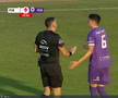 Fază controversată de arbitraj în FC Botoșani - FC Argeș. FOTO: captură Prima Sport