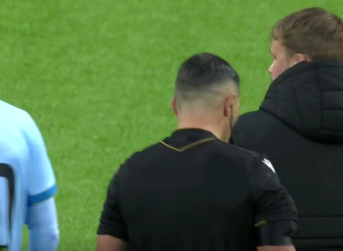 Istvan Kovacs, un nou meci cu scandal în Europa! Patronul lui Darius Olaru a părut că l-a lovit pe arbitru: imagini incredibile de la final
