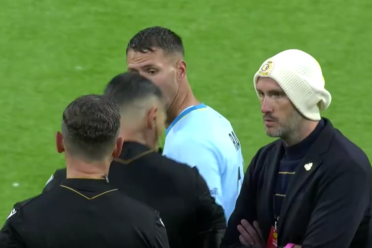 Istvan Kovacs, un nou meci cu scandal în Europa! Patronul lui Darius Olaru a părut că l-a lovit pe arbitru: imagini incredibile de la final