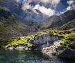 munte record
