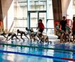 Imagini de aur la Complexul Sportiv Dinamo » Nadia Comăneci și David Popovici, față în față pentru viitorul sportului românesc: „Așa a făcut și Halep!”