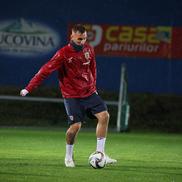 Naționala României s-a reunit pentru ultimele două meciuri din Nations League / foto: FRF.ro