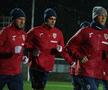 România pregătește ultimele două partide din Liga Națiunilor / foto: FRF.ro
