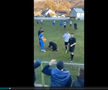 Astfel de scene n-ar trebui să existe în fotbal! » Arbitrul, bătut de un jucător la un meci din România: a suferit o dublă fractură de mandibulă