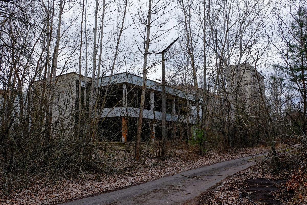 Stadionul din Pripyat, de lângă Cernobîl, continuă să ofere imagini SF: ce a crescut în locul gazonului