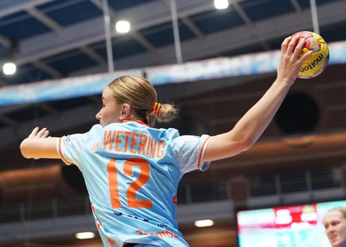 FOTO: Twitter @nedteamhandbal