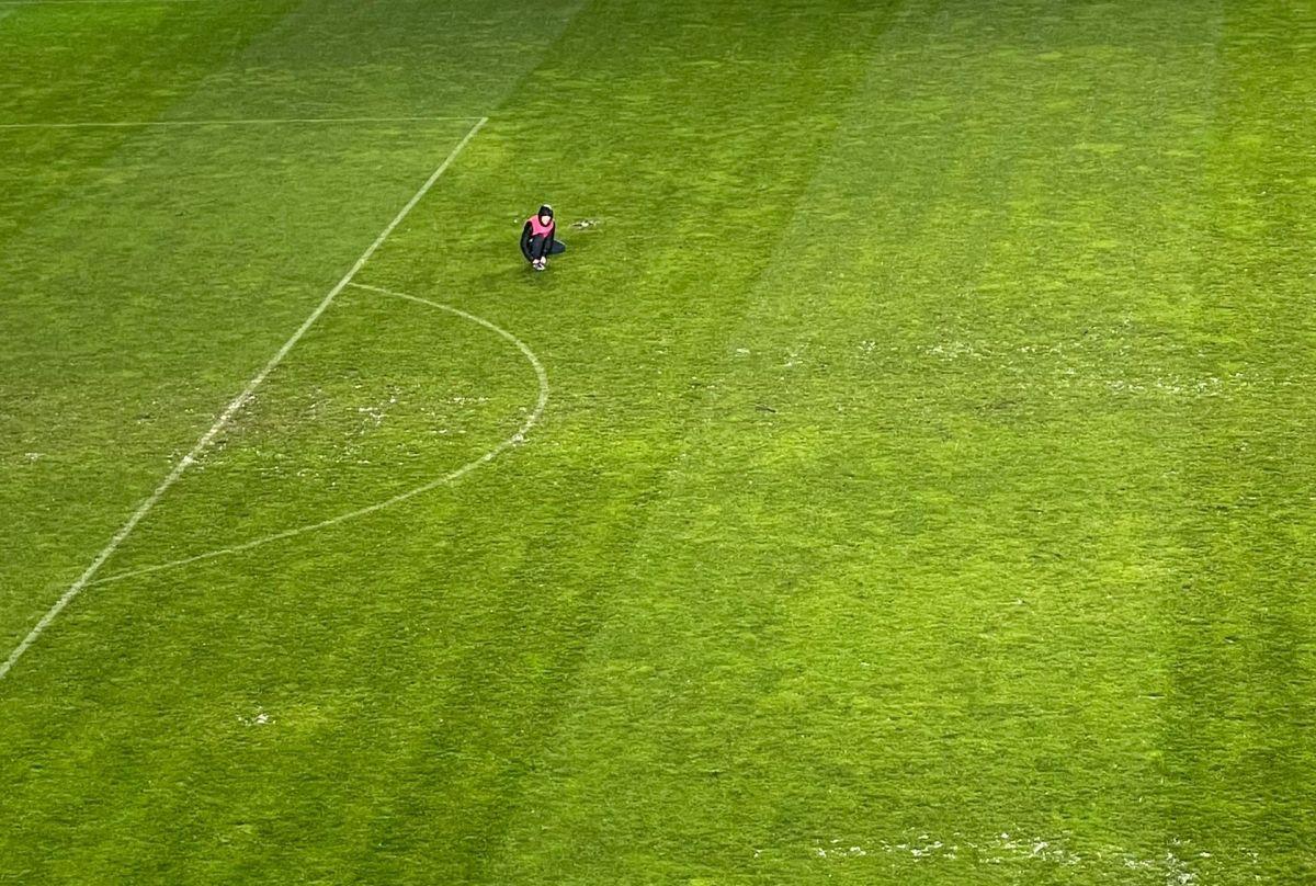 Chindia Târgoviște - FCSB, în etapa #20 din Superligă - imagini de la meci