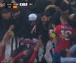 Bucurie dezănțuită la golul de 4-3 în FCSB - Feyenoord