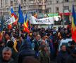 Imagini de la mitingul AUR din 12 ianuarie / FOTO: Eli Driu (Libertatea)