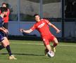 Imagini de la meciul Hermannstadt - FK Napredak Kruševac FOTO: Ionuț Iordache (GSP)