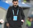 Farul - Dinamo
