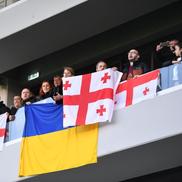 România - Georgia (foto: Raed Krishan/GSP)