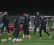 Antrenament oficial FCSB la Lyon FOTO: Ionuţ Iordache (GSP)