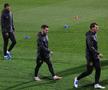 Antrenament oficial FCSB la Lyon FOTO: Ionuţ Iordache (GSP)