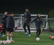 Antrenament oficial FCSB la Lyon FOTO: Ionuţ Iordache (GSP)