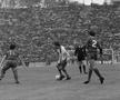 dinamo liverpool