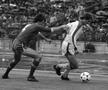 dinamo liverpool