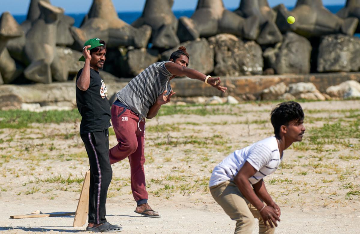 Cricket Olimp