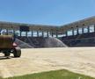 Imagini noi de la Stadionul Rapid! A început montarea gazonului pe arena din Giulești