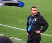 FCU Craiova - Hermannstadt/ foto: Ionuț Iordache (GSP)