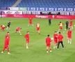 Imagini înainte de FCU Craiova - Hermannstadt