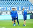 Imagini înainte de FCU Craiova - Hermannstadt/ foto Ionuț Iordache (GSP)