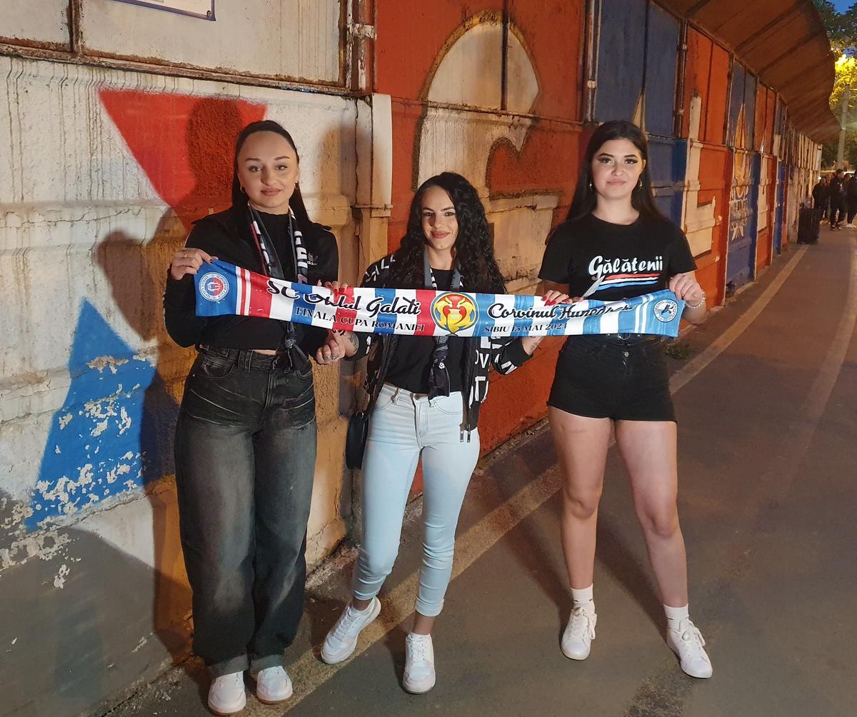 Oțelul - FC Botoșani, înainte de meci