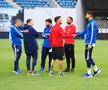 Imagini înainte de FCU Craiova - Hermannstadt/ foto Ionuț Iordache (GSP)
