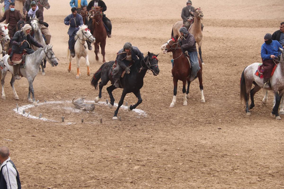 Buzkashi, cel mai popular sport din Afganistan