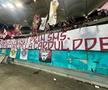Toate mesajele galeriilor de la Dinamo - Rapid! Peluza Sud, în război cu șefii, ironia rapidiștilor