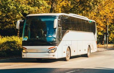 Care sunt indiciile că o companie de transport persoane internațional este serioasă și profesionistă