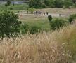 Cine sunt oamenii care practică un sport ce nu s-a văzut în România într-un loc care nu a existat până acum câțiva ani?
