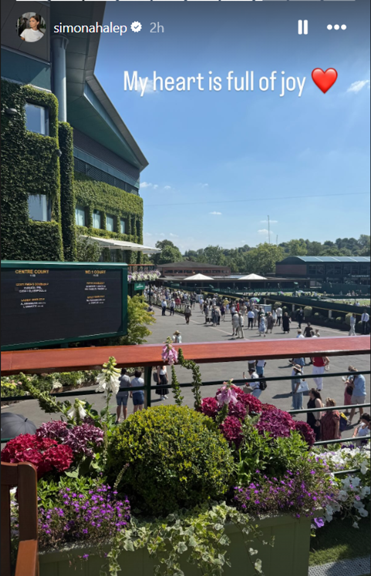 Kate Middleton, prințesa de Wales, și Simona Halep la finala Wimbledon 2025