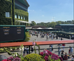 Simona Halep a ajuns la Wimbledon / Foto: Instagram
