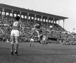 FOTO Ilie Balaci