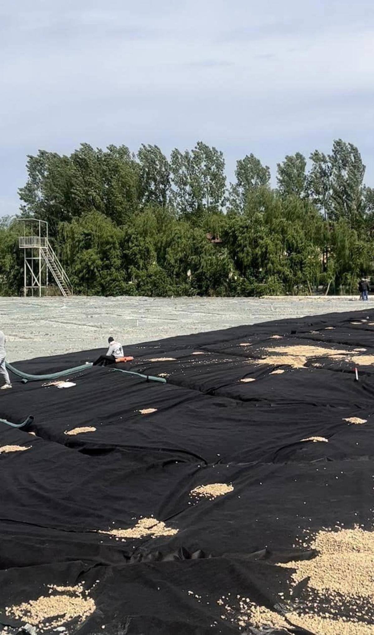 Stadion nou în România, obiective îndrăznețe: „Se lucrează nonstop, îl inaugurăm în această lună. Peste 3 ani vrem în Liga 1”
