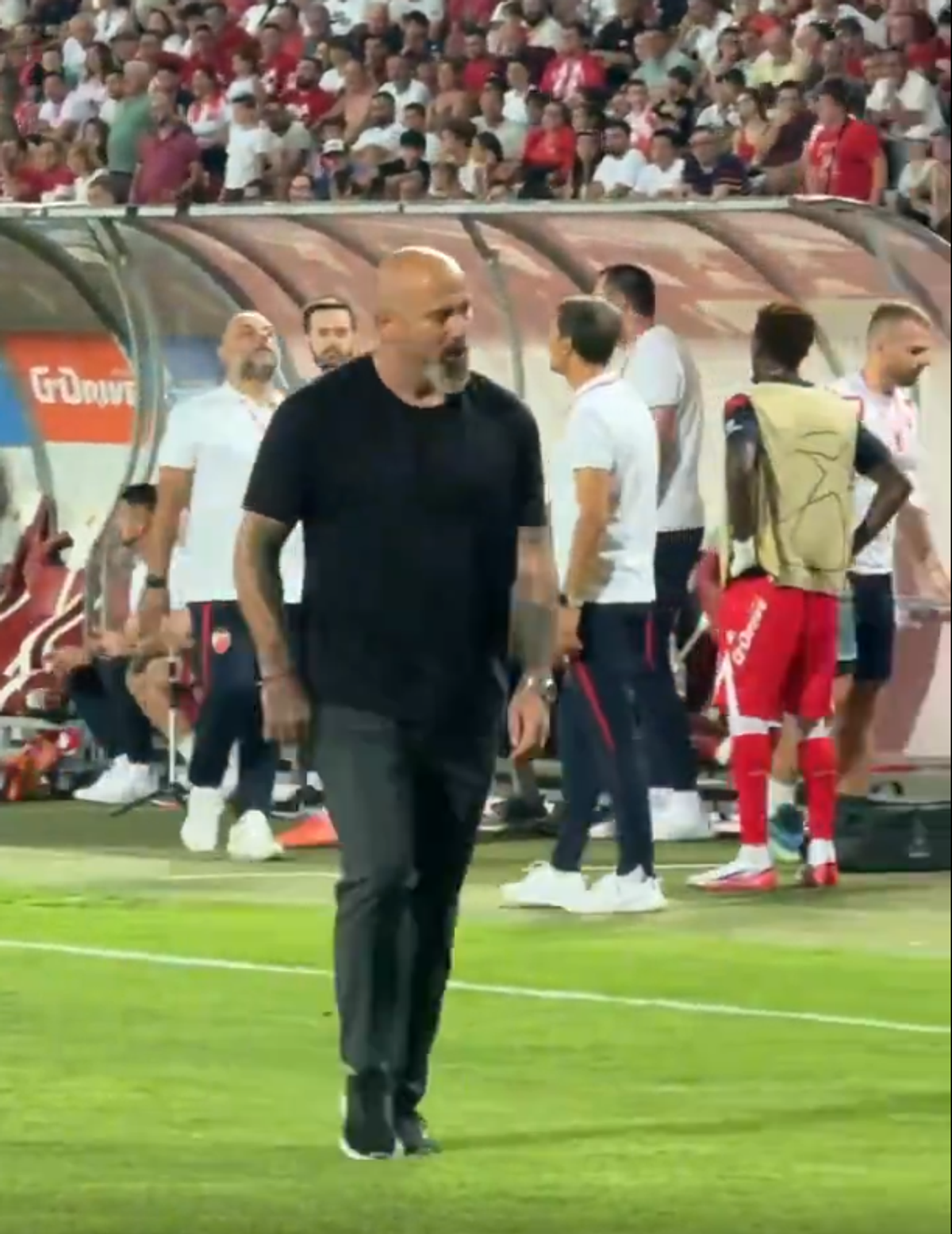 Dejan Stankovic și-a dat demisia de la Steaua Roșie Belgrad
