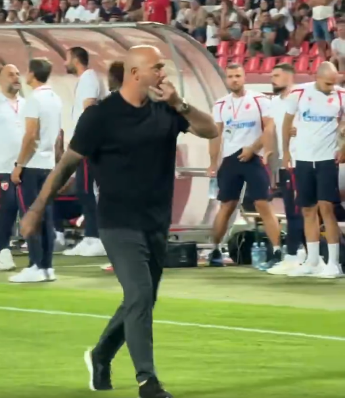 Dejan Stankovic și-a dat demisia de la Steaua Roșie Belgrad
