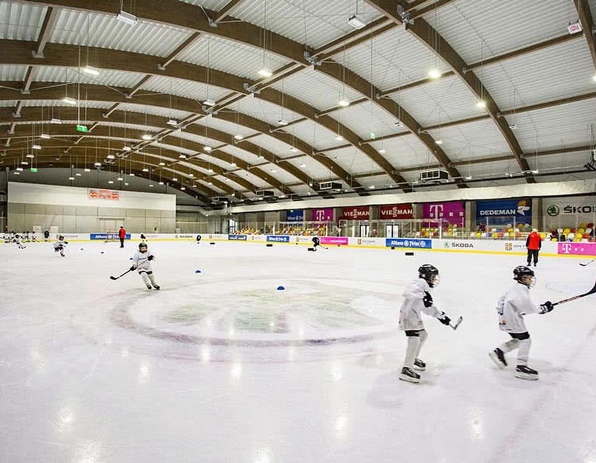 Patinoarul Berceni Arena
