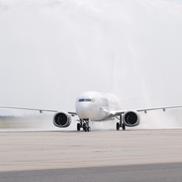Cum arată avionul care îi poartă numele regretatului Mircea Lucescu // foto: Andrei Furnigă (GSP)