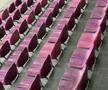 Rapid - FC Voluntari, imagini înainte de meci