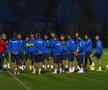 România U21 pe Ghencea sub privirile lui Burleanu și Stoichiță