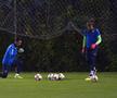 România U21 pe Ghencea sub privirile lui Burleanu și Stoichiță