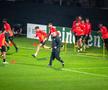 Deac doar îi sperie pe cehi, Petrescu ridică Slavia în slăvi » Cum prefațează antrenorul lui CFR Cluj meciul din Conference League