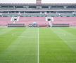 Gazon CFR Cluj