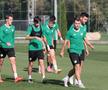 Cinci români și un milionar pentru renașterea Rapidului Ungariei » Patronul sfidează regula și pompează milioane