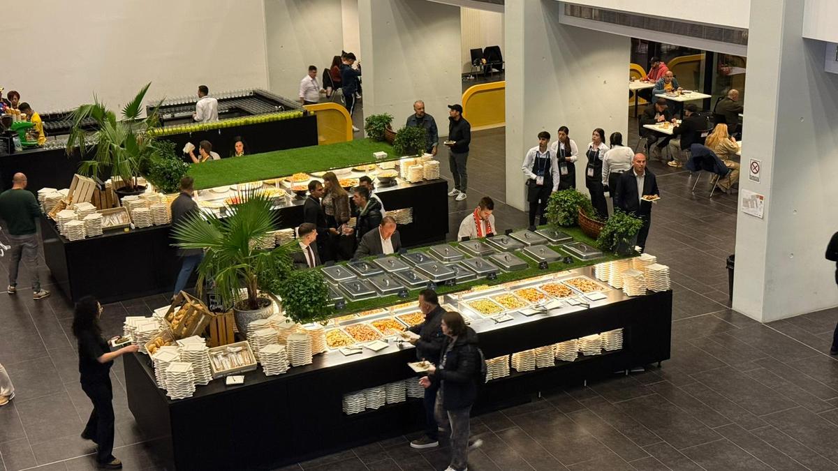 Imagini din culise de la România - Austria » După fan zone, grătarele! Cum au fost primiți spectatorii la „decisivul” din preliminarii: surprize la VIP