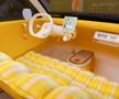 Citroen readuce la viață modelul 2CV. Fotografii oficiale